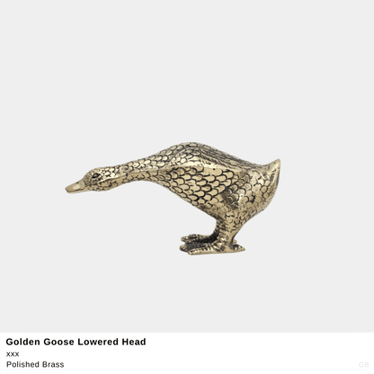 Golden Goose