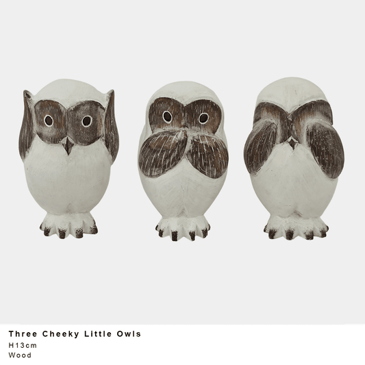 Three Cheeky Owls