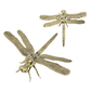 Brass Dragonfly Gold