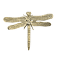 Brass Dragonfly Gold