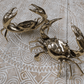 Brass Crab - gold