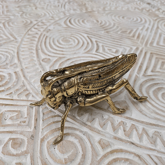 Brass Cricket