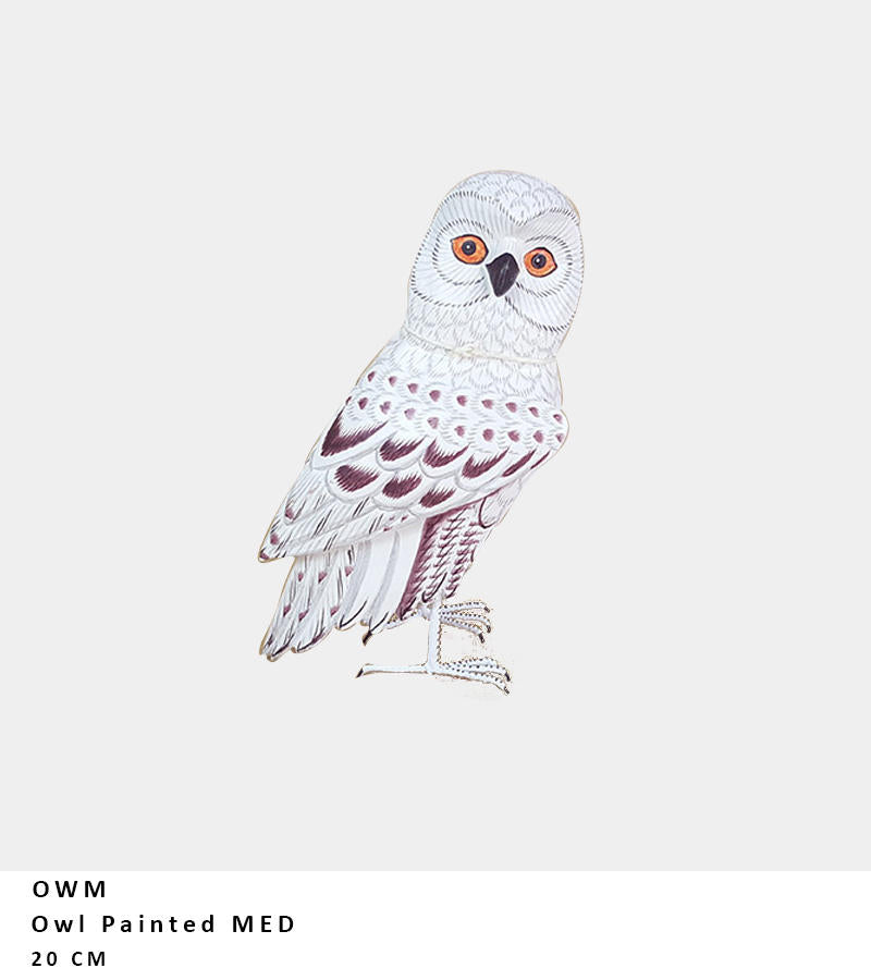 Owl