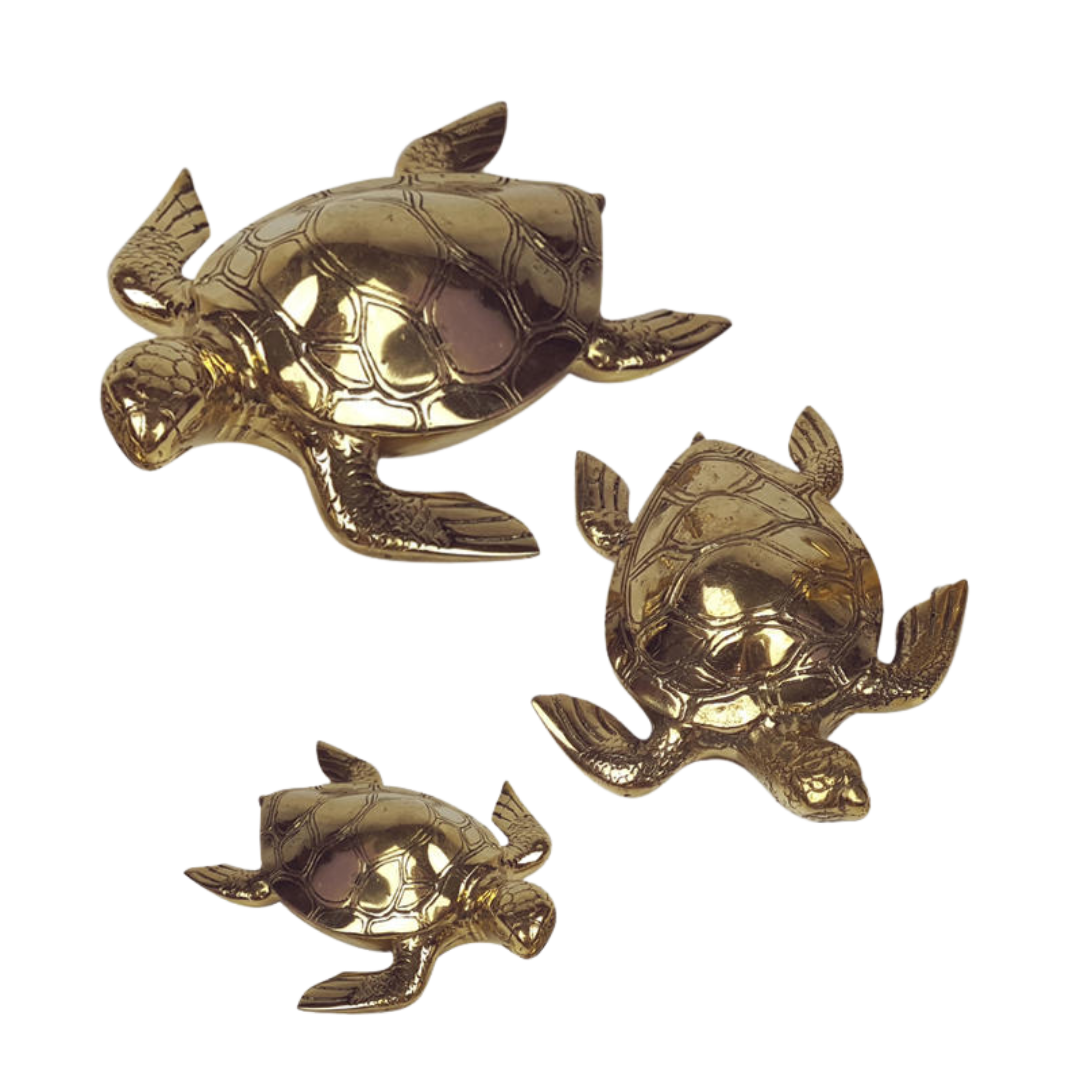 Brass Turtle